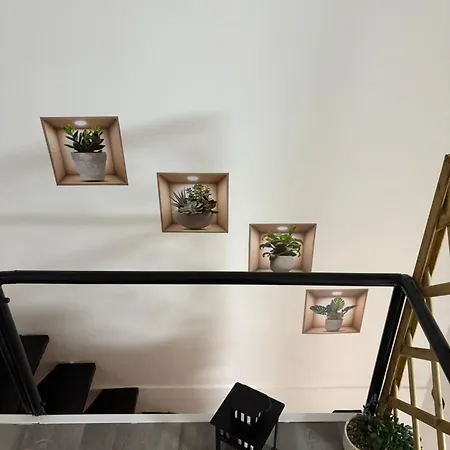 Golden Dreams * Bari