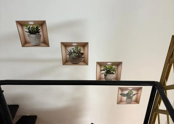 Golden Dreams * Bari